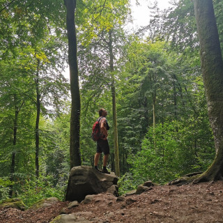 Image pour Randonnées en Allemagne