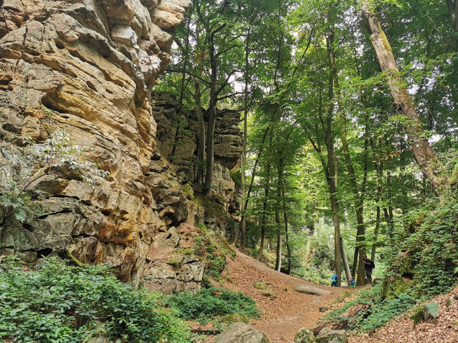 Beaux chemins de randonné en Eifel Beaux chemins de randonné en Eifel