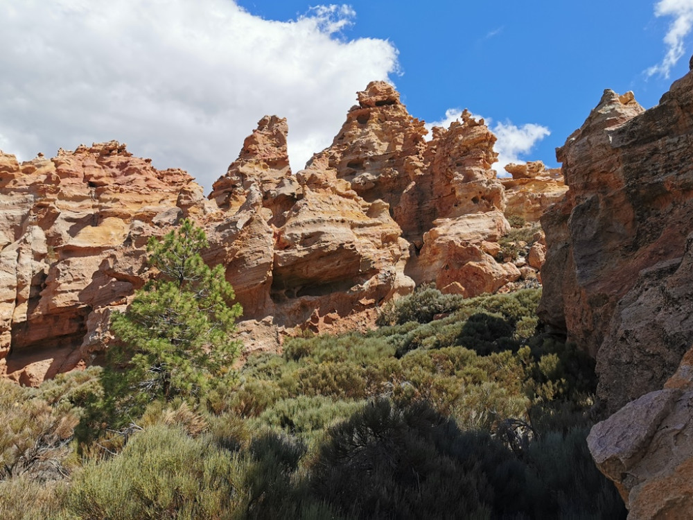 Tenerife