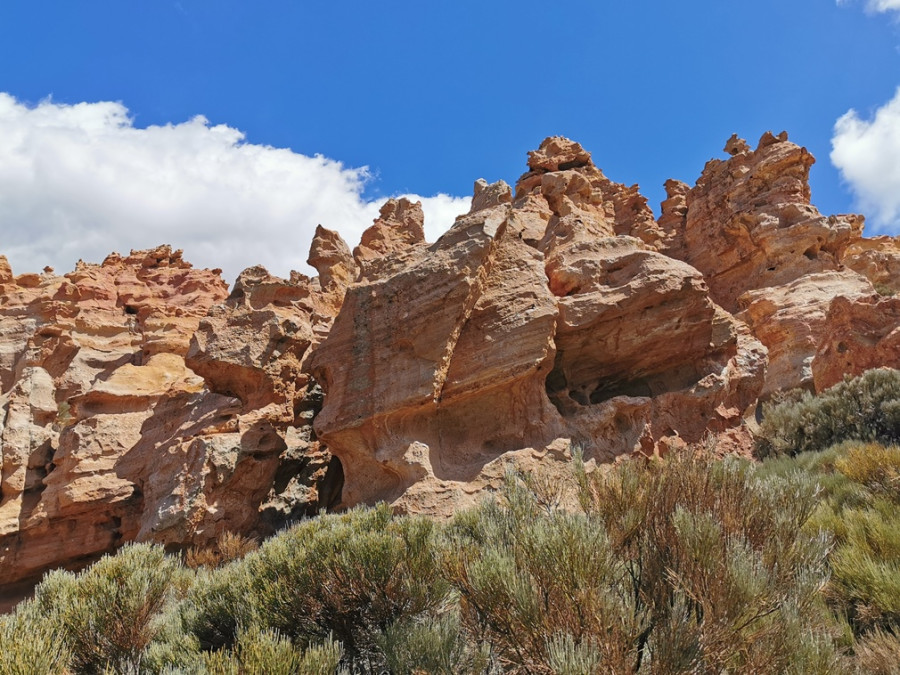 Nature à Teide Nature à Teide