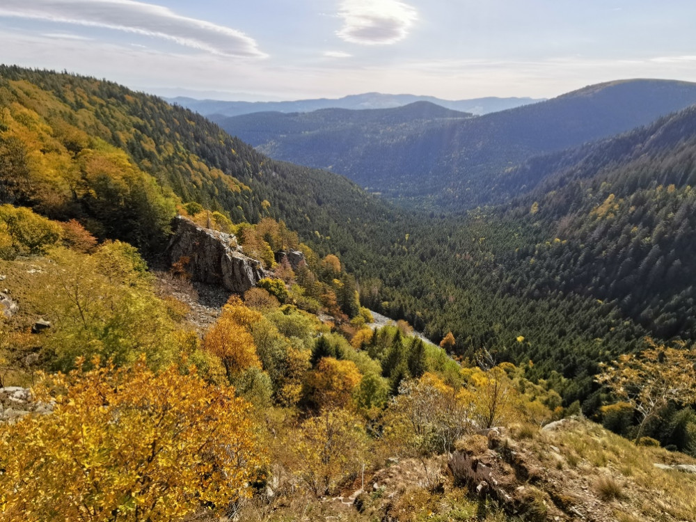 La nature