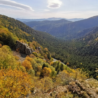 Image pour Vosges
