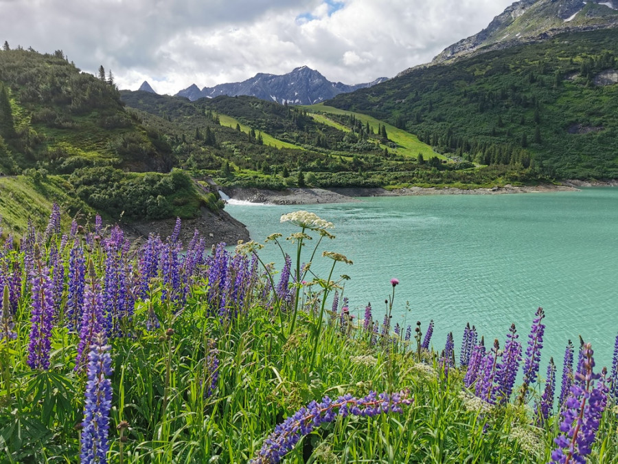 Lac alpin Lac alpin