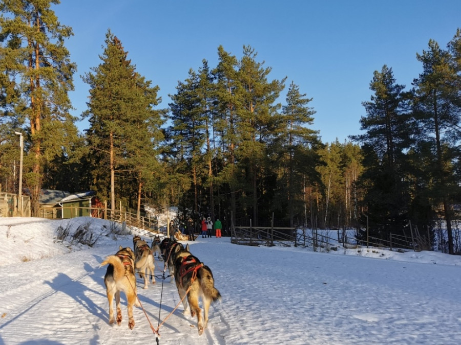 Centre de la Finlande