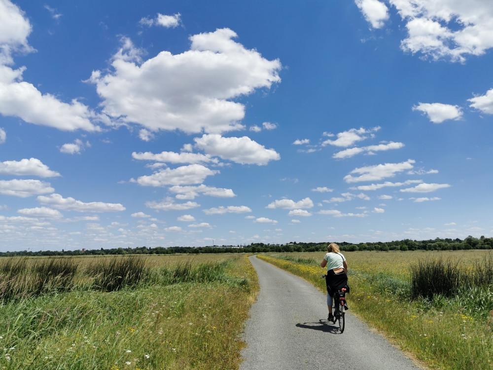 Faire du vélo près d'Angers