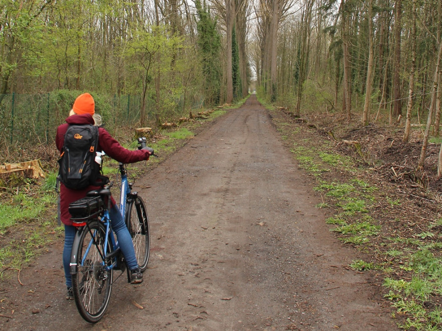Les landes de Bulskampveld