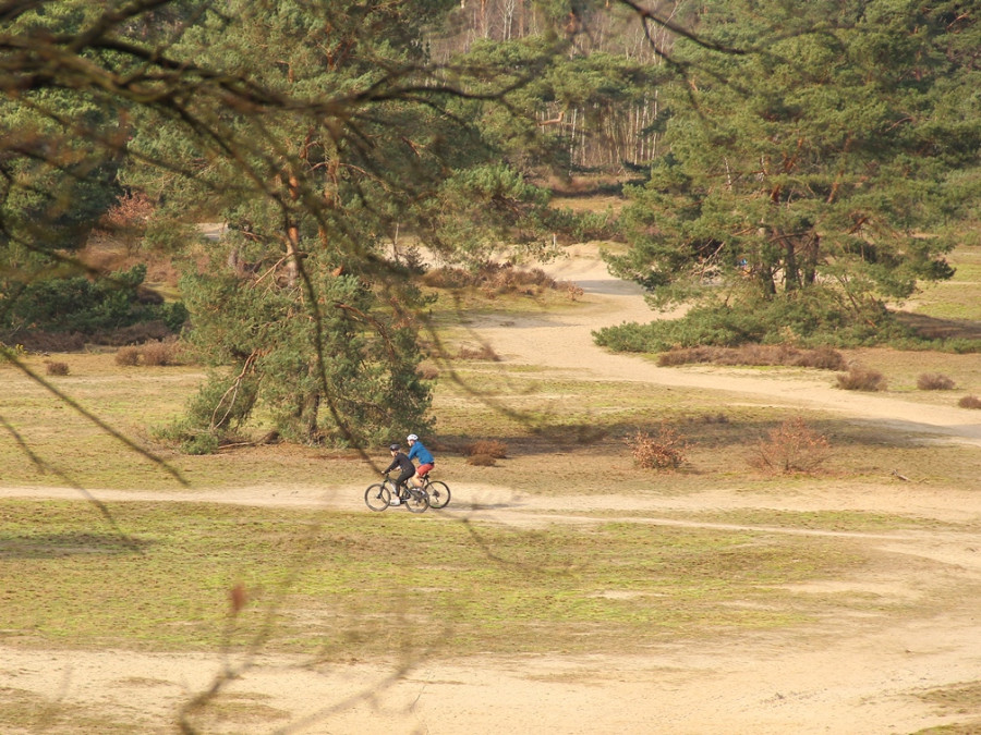 Vacances à vélo dans la Veluwe