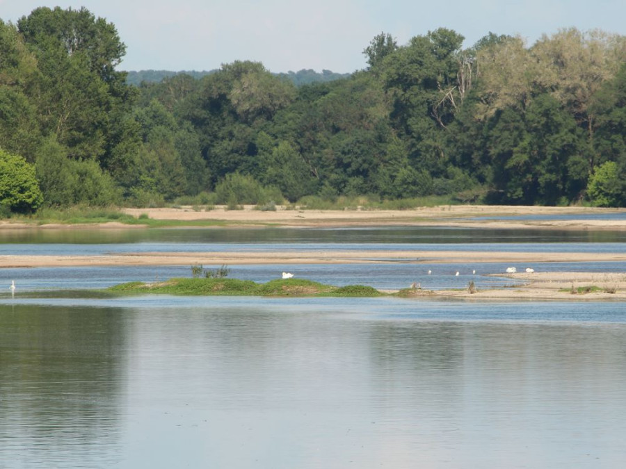 Fleuve