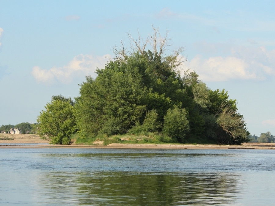 Paysage de la Loire