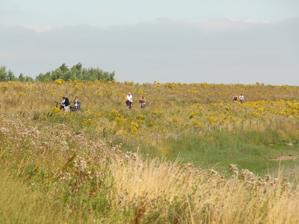 Faire du vélo au parc naturel de Zwin