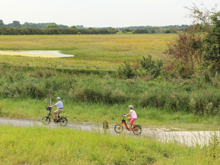 Faire du vélo en Flandre occidentale