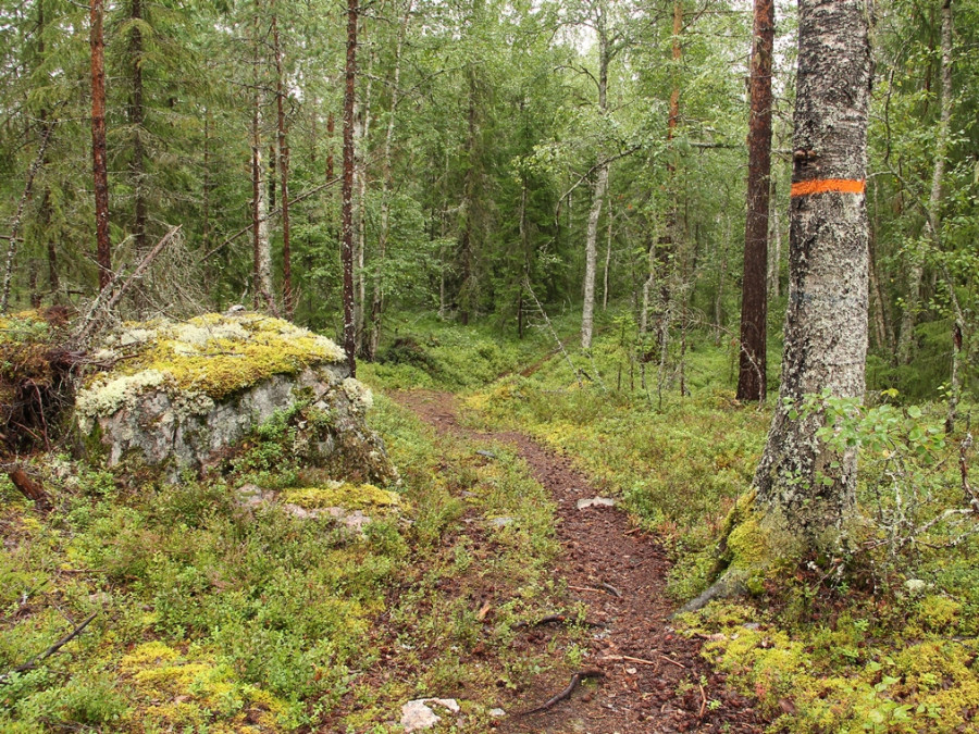 Route Siljansleden près de Siljan