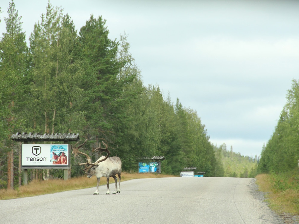 Rencontre à Dalarna