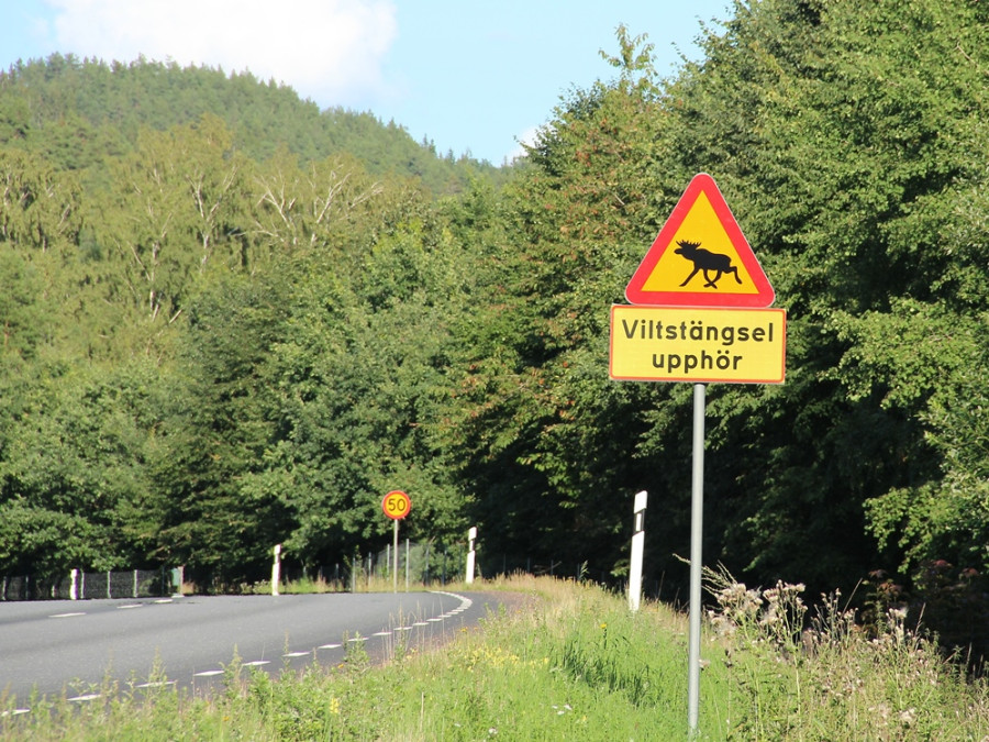 Panneau en Suède