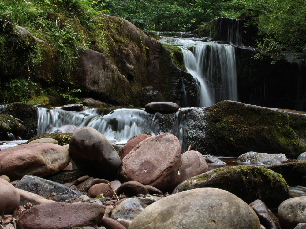 Nature dans les Brecon Beacons