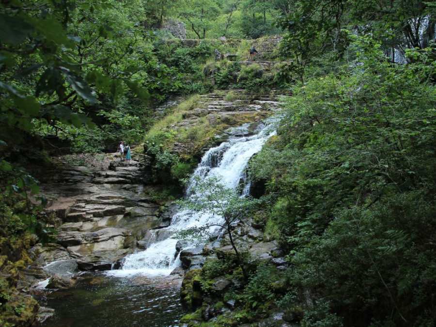 La nature au Pays de Galles