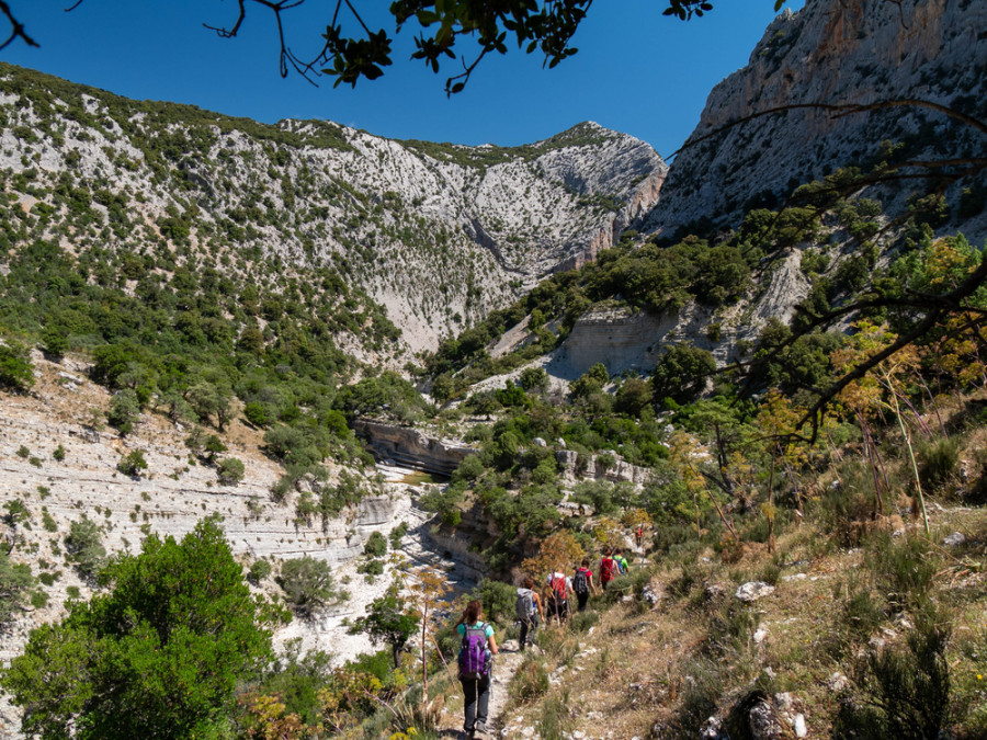 Nature en Sardaigne Nature en Sardaigne