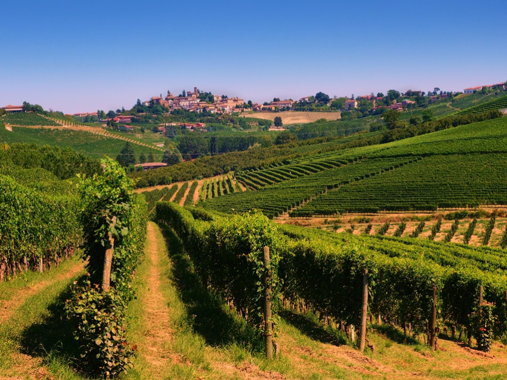 Vignobles nord de l'Italie