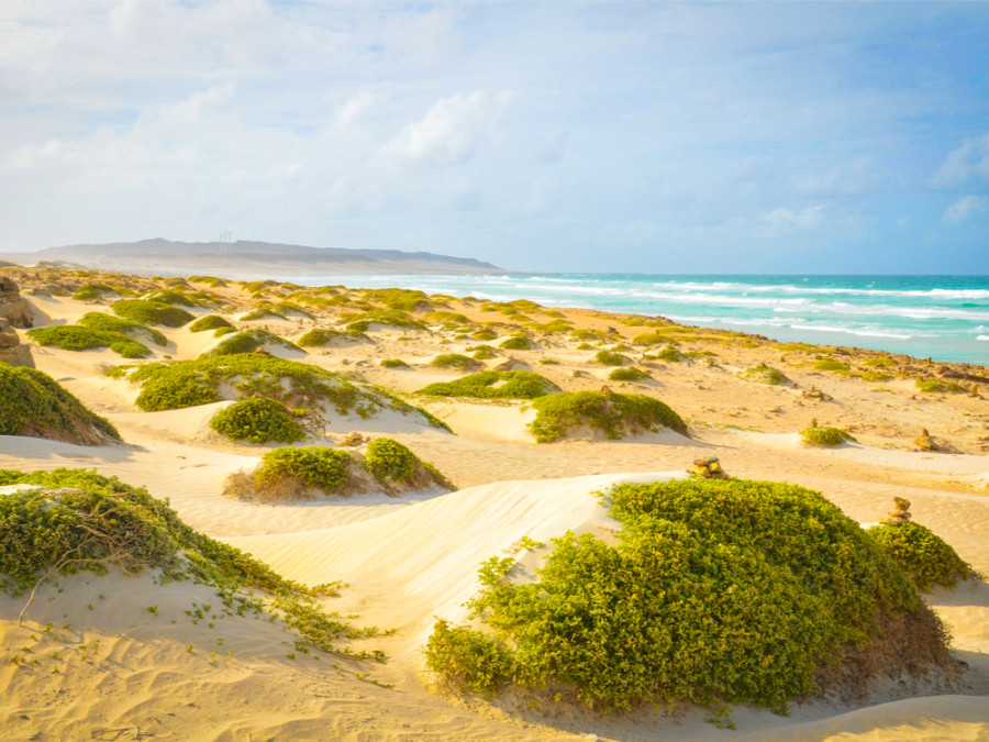 Nature à Boa Vista