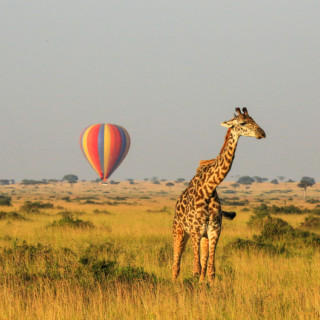 Image pour Masai Mara