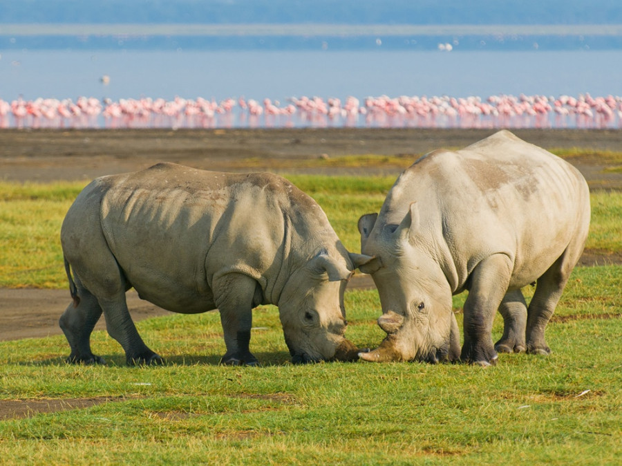 Les plus beaux endroits du Kenya Les plus beaux endroits du Kenya