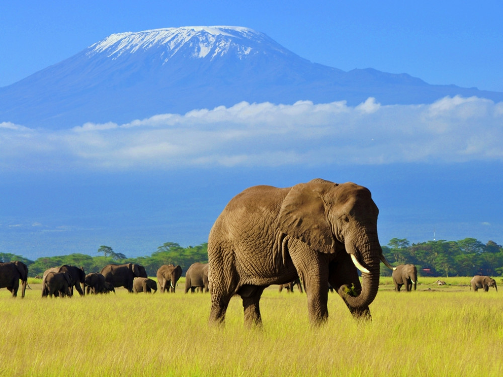 Amboseli, parc national