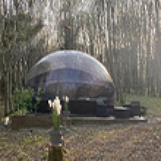 Image pour Booking.com - Bubble Jungle