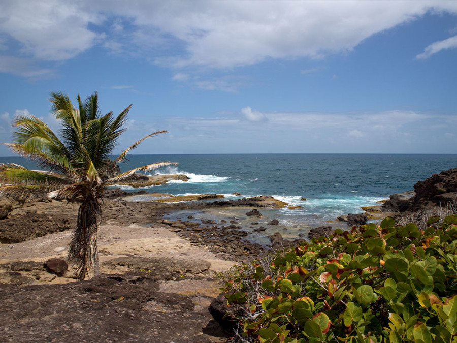 Réserves naturelles en Martinique