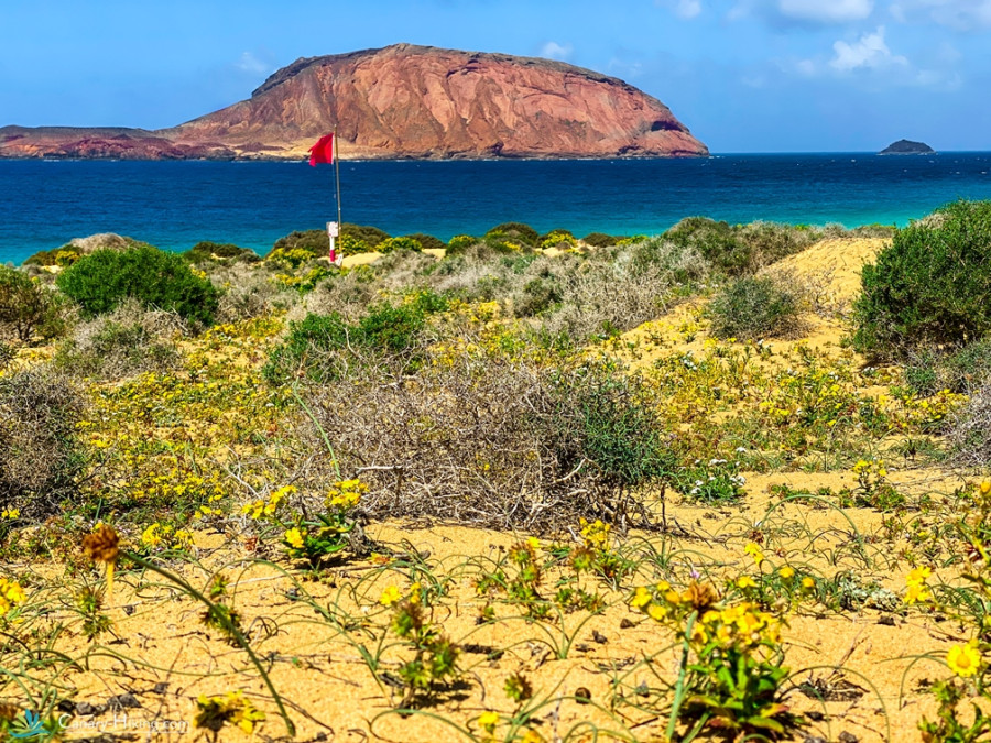 Beaux paysages aux Canaries