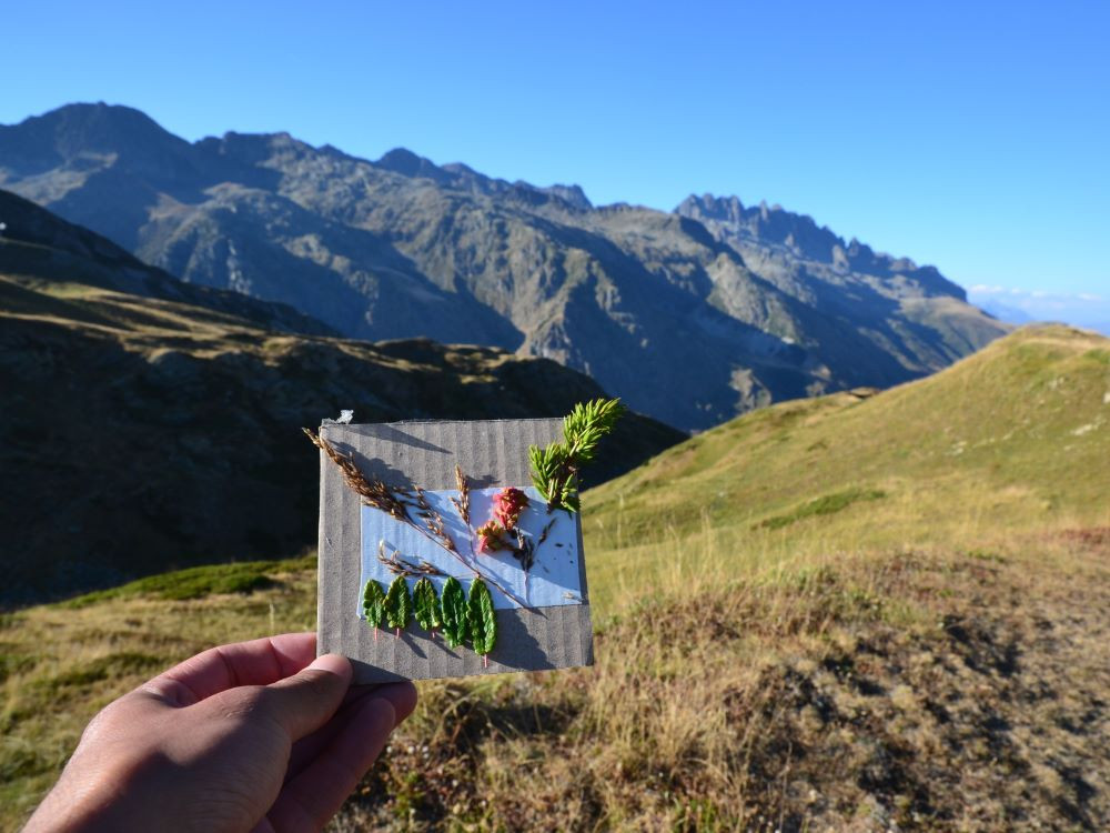 Créer de l'art à partir d'éléments naturels