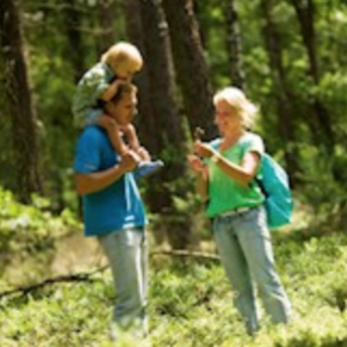 Image pour Landal - Vacances dans la nature