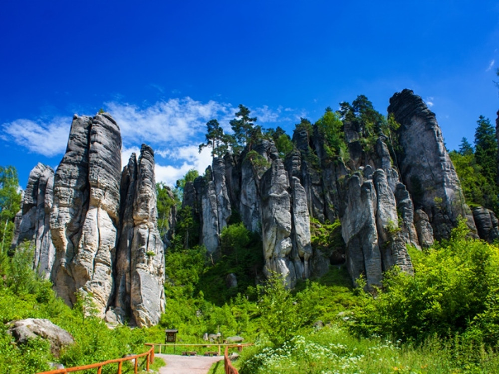 Paradis de Bohême