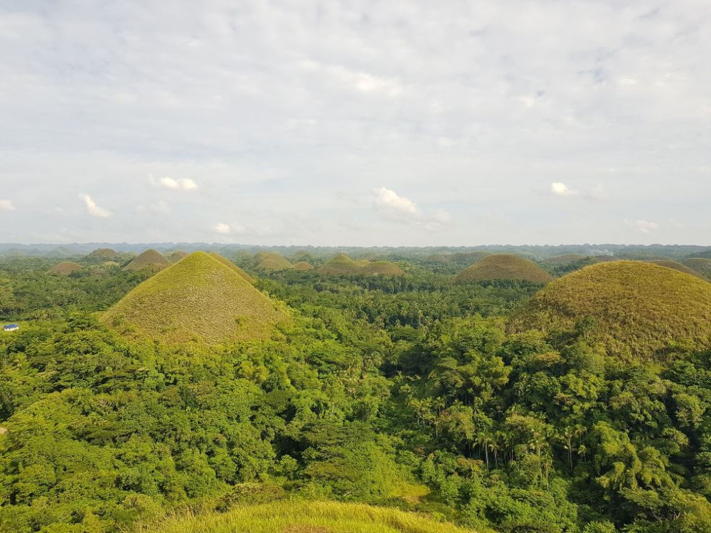 Chocolate hills - Bohol