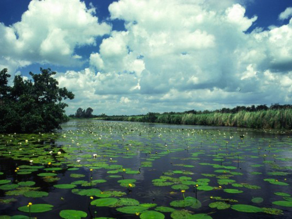 Parc national de Alde Feanen