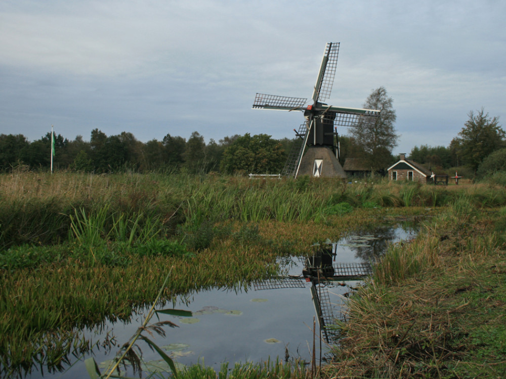 Parc national de Weerribben-Wieden