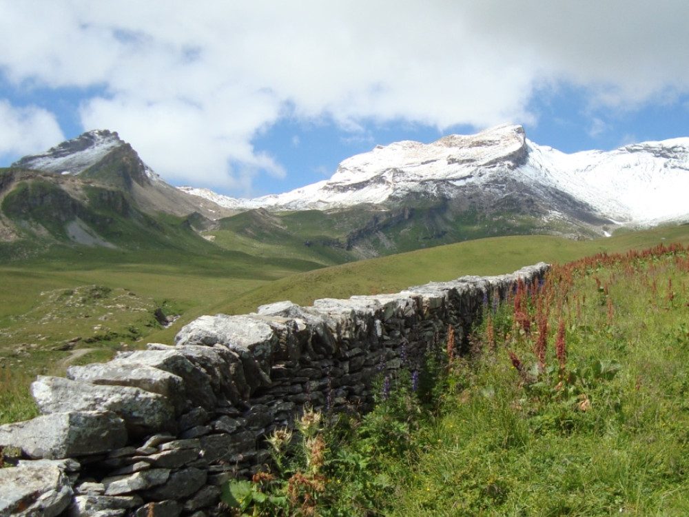 La Suisse et la nature