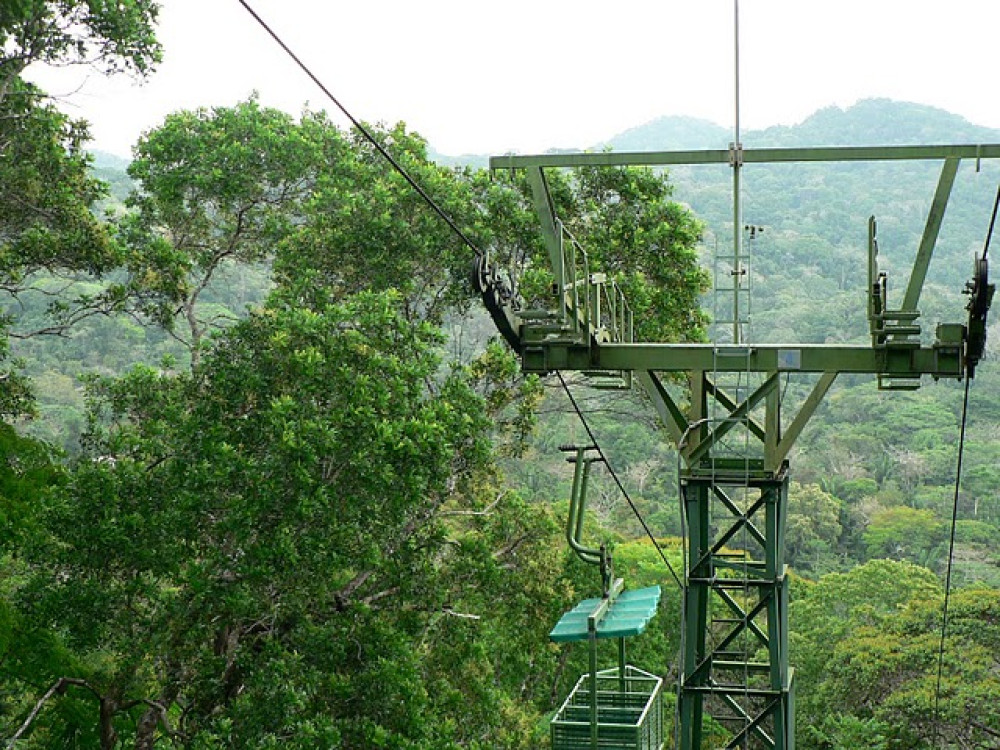 Forêt tropicale du Panama