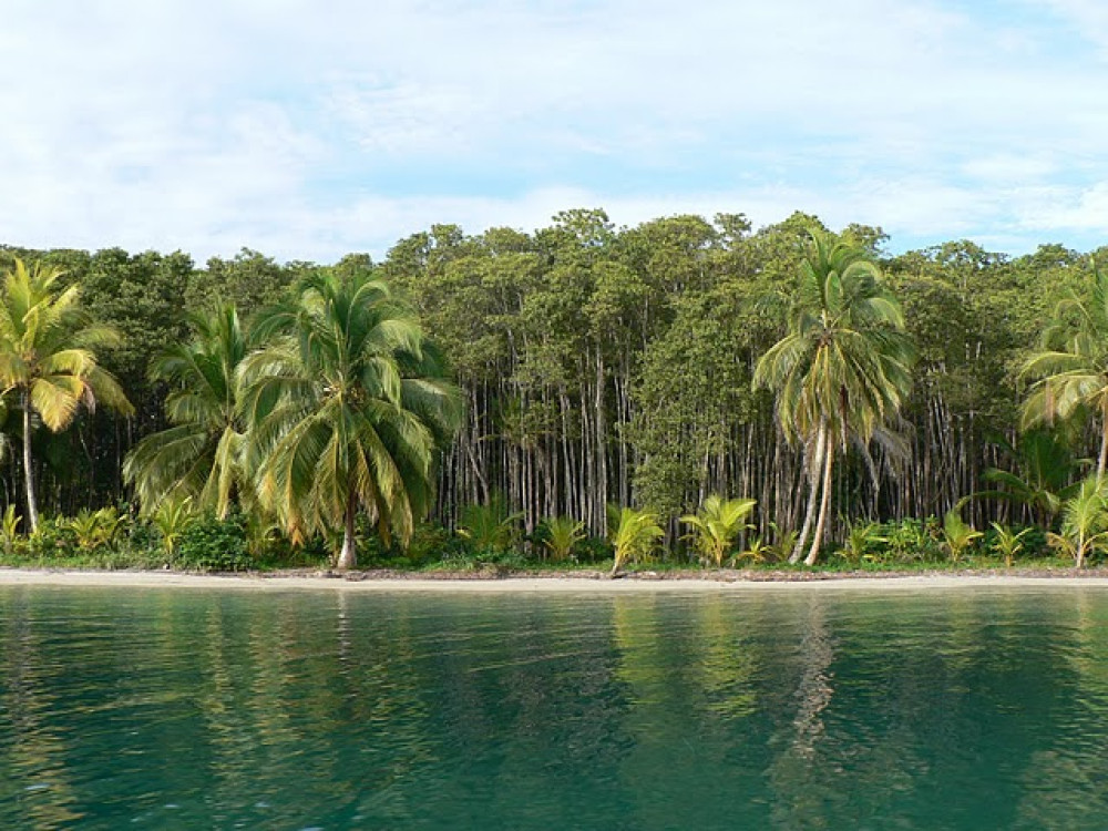 Nature du Panama
