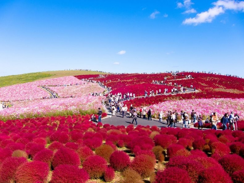 Parc Hitachi Seaside