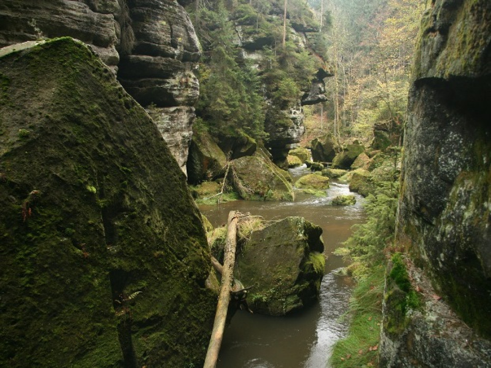 Nature en Tchèquie