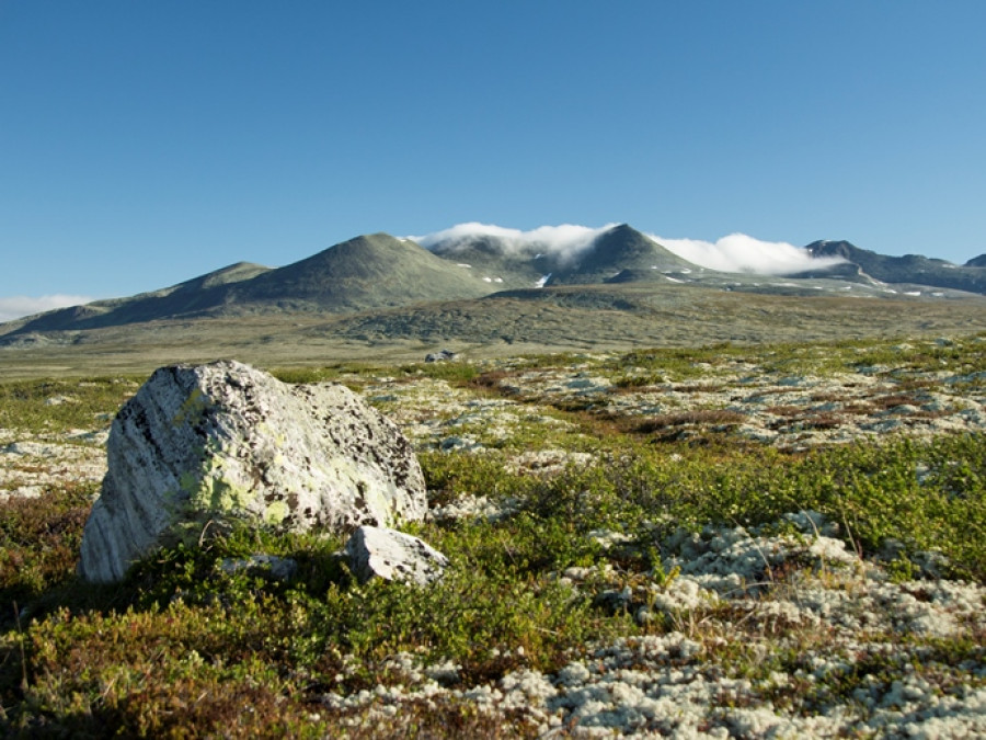 Parc naturel en Norvège