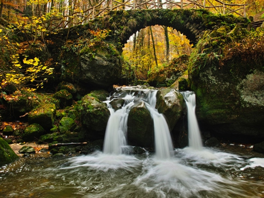 Cascade Mullerthal Cascade Mullerthal