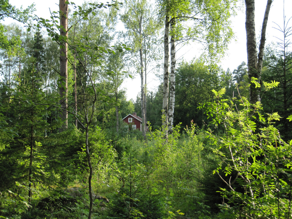La nature en Suède