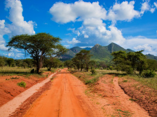 Image pour Kenya