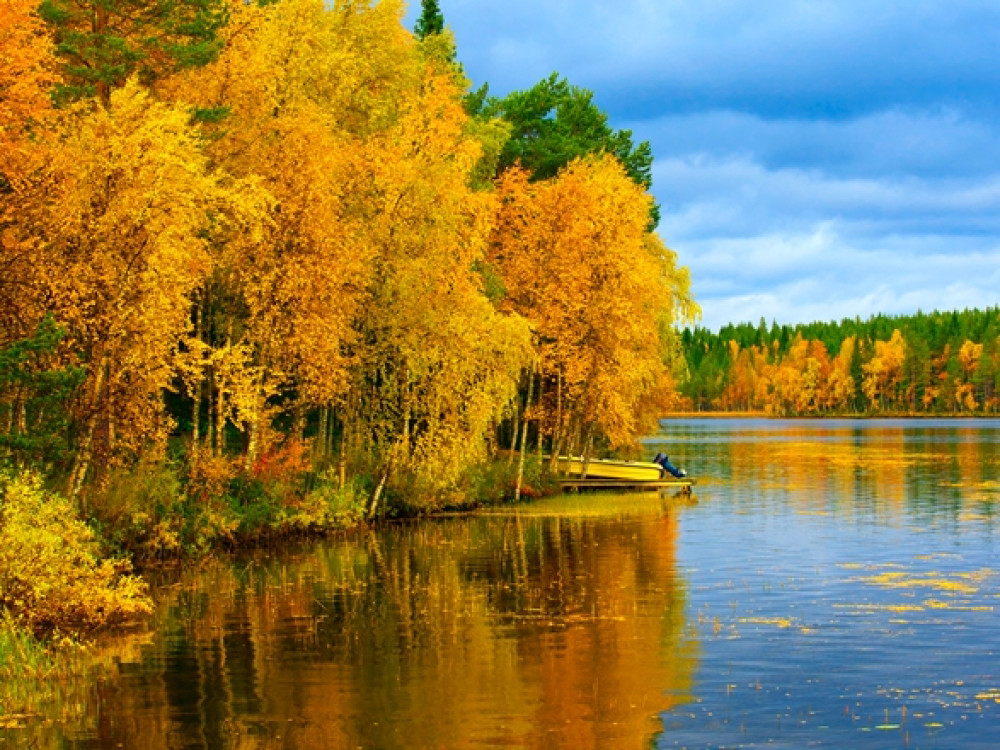 Nature en Finlande