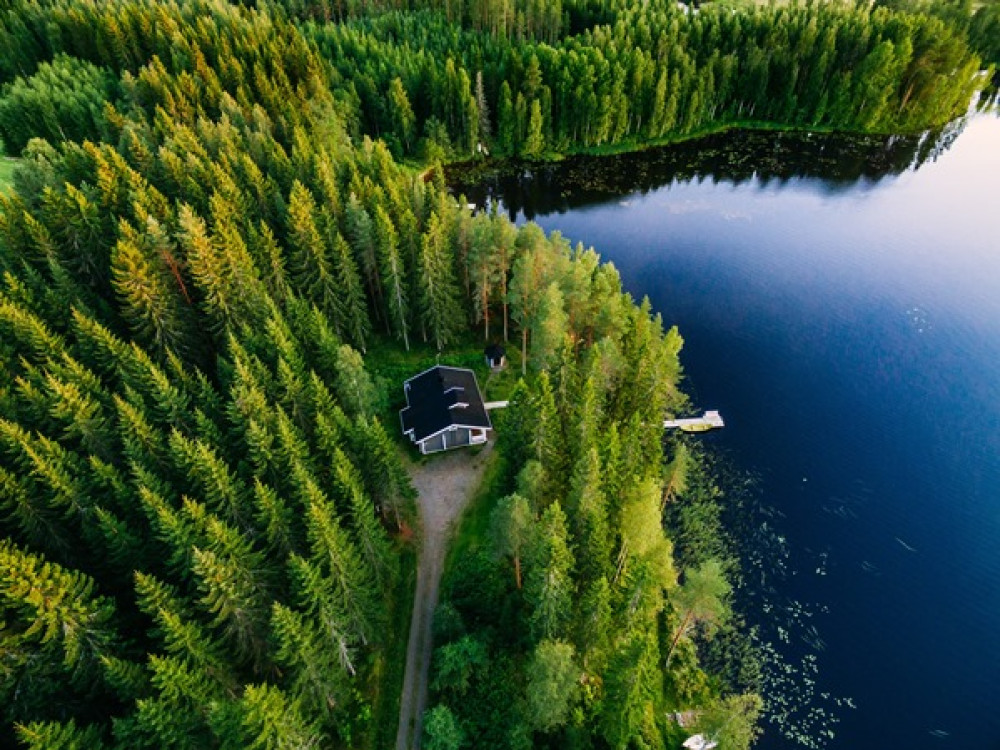 Forêts