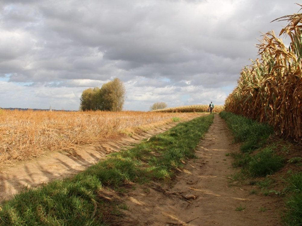 Campagne en Flandres