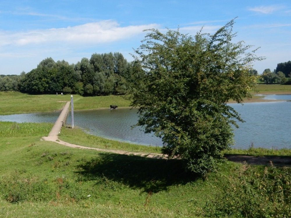 Parc naturel de Blauwe Kamer à Rhenen