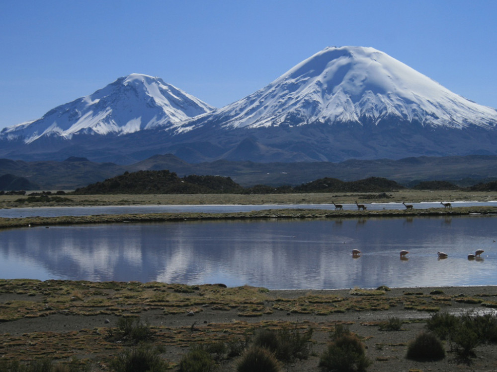 Le volcan Parinacota