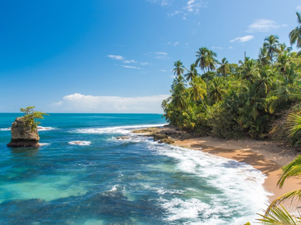 Nature de Puerto Viejo